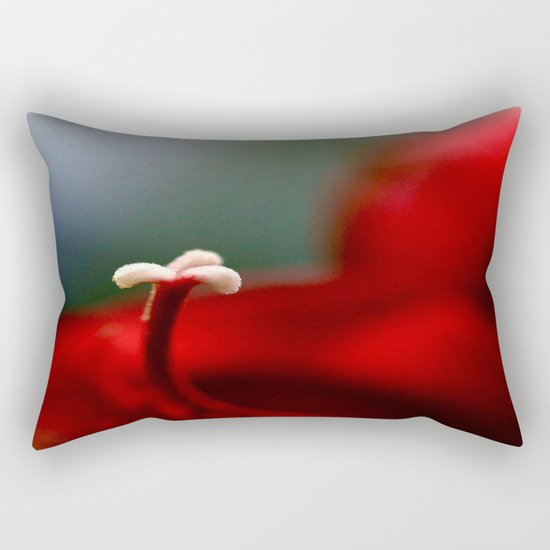 Red & White Rectangular Pillow
