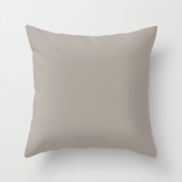 Mid-tone Neutral Brown Taupe Solid Color Pairs with Sherwin Williams Angora SW6036 Throw Pillow