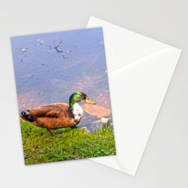 Duck Going for a Swim Stationery Cards