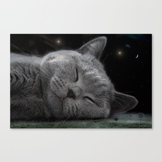 Beauty Sleep Canvas Print