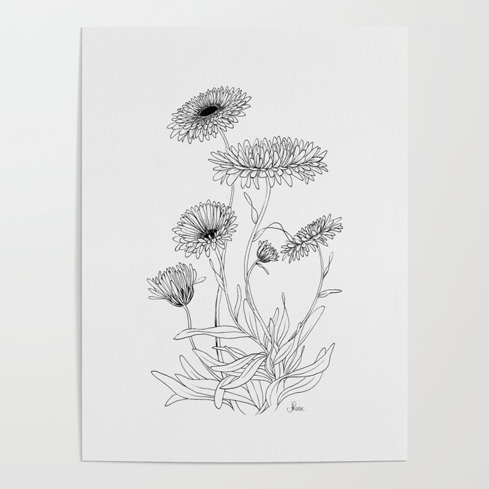 Calendula Flowers Poster