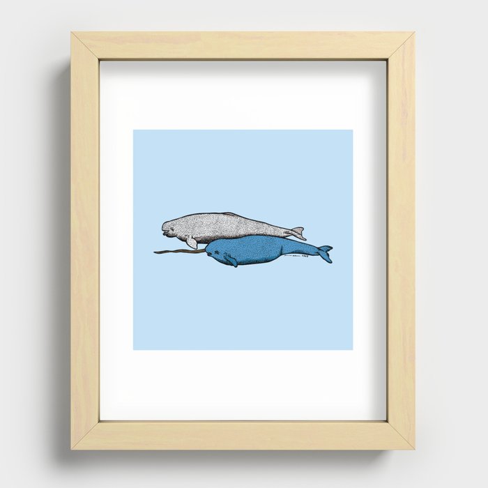 Narwhal And Beluga Whales Recessed Framed Print