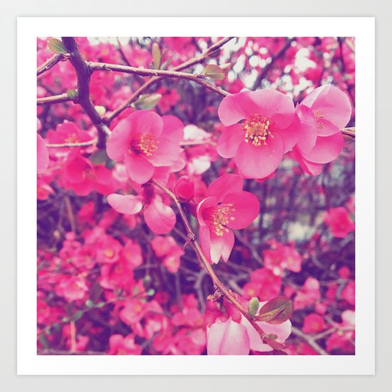 Blosom Art Print
