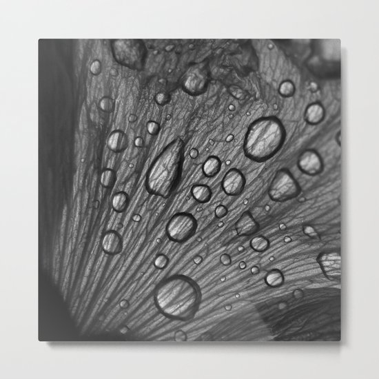 water drops macro XI Metal Print