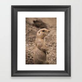 prairie dog #4 Framed Art Print