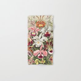 Orchideae–Denusblumen by Ernst Haeckel Hand & Bath Towel