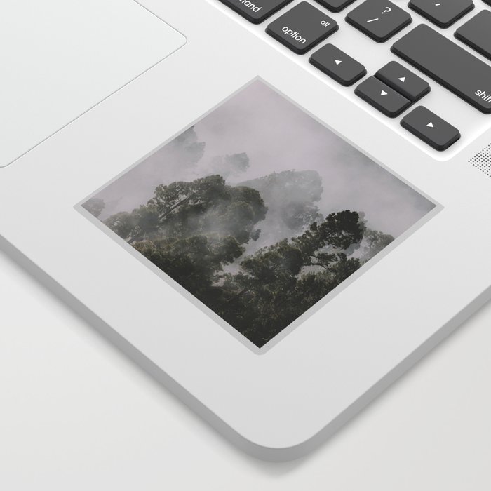 Tall forest trees above the morning mist Sticker