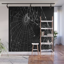 Spider Web Wall Mural