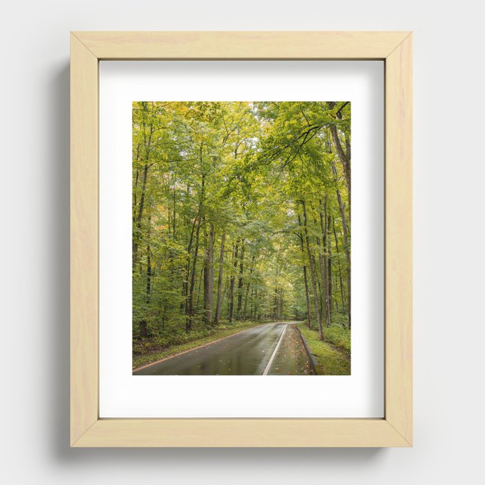 Tree Tunnels Recessed Framed Print