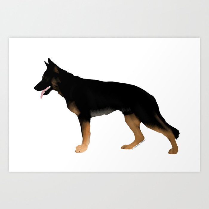 melanistic black and tan german shepherd