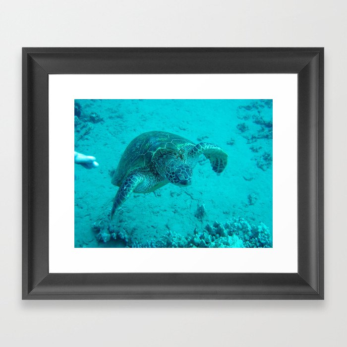 Sea Turtle Framed Art Print