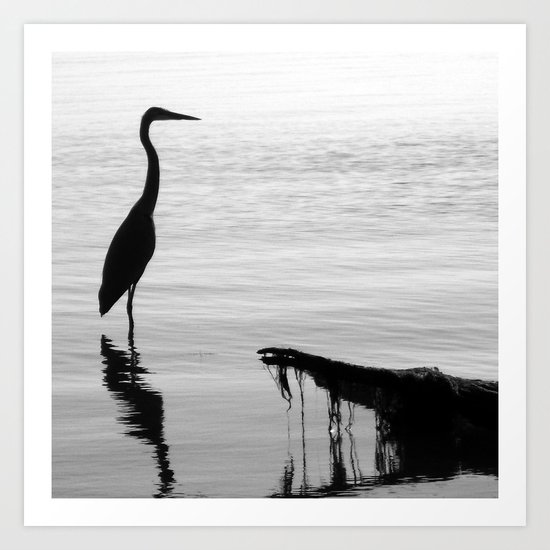 Black and White Heron Art Print