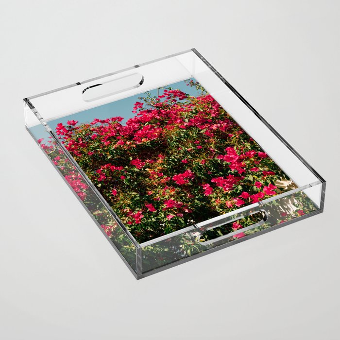 Vintage Flower Festival | Pink Flowers in Bush | Nature & Travel Photography Acrylic Tray