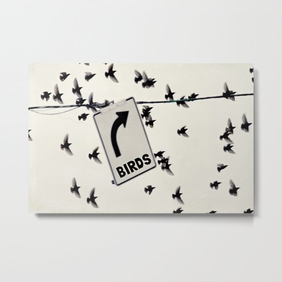 this way birds Metal Print