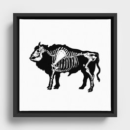 x-ray buffalo Framed Canvas