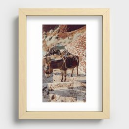 Donkey // Greece Recessed Framed Print