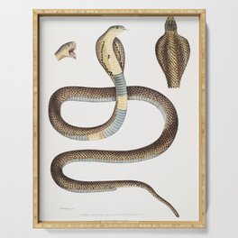 Cobra Capella (Naia Tripudians) Serving Tray