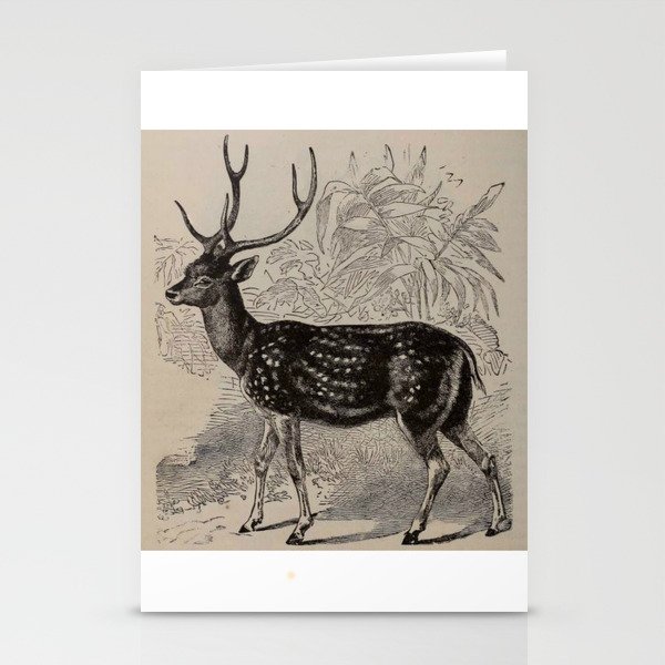 Vintage Natural History Deer Stationery Cards