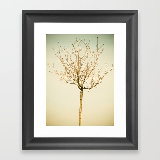 Pink Framed Art Print