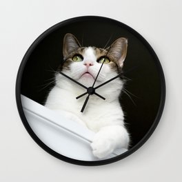 Stanley - A Cat You Can Believe In Wall Clock