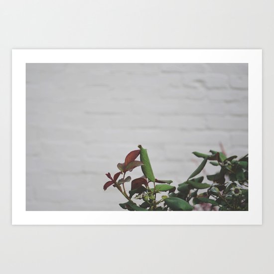 Rose Hips - No. 2 Art Print
