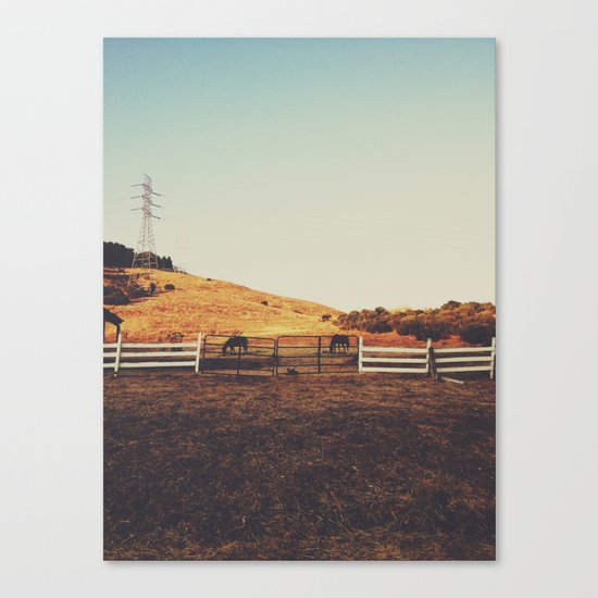 Horses Canvas Print