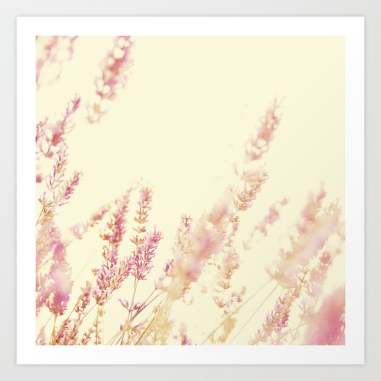 Lavender Art Print