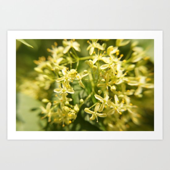 So Green Art Print