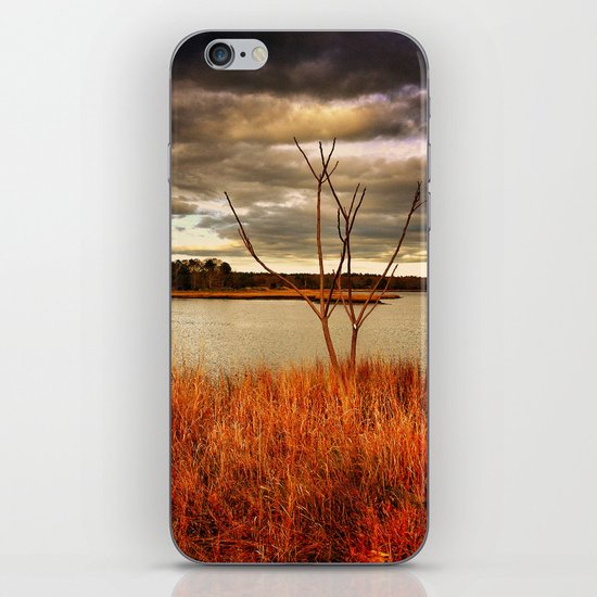 Fall Stalk iPhone Skin