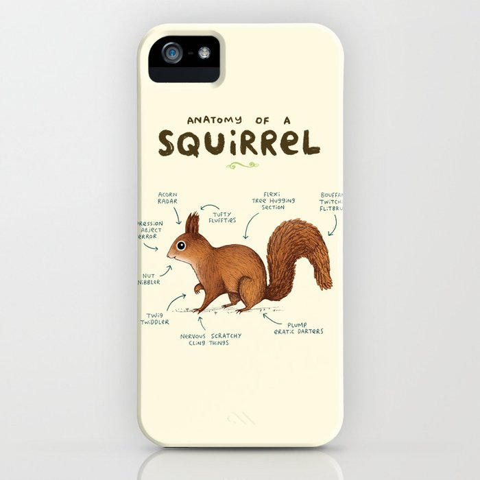 anatomy of a squirrel iphone case