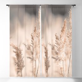 Neutral Tone Pampas Grass, Reed Blackout Curtain