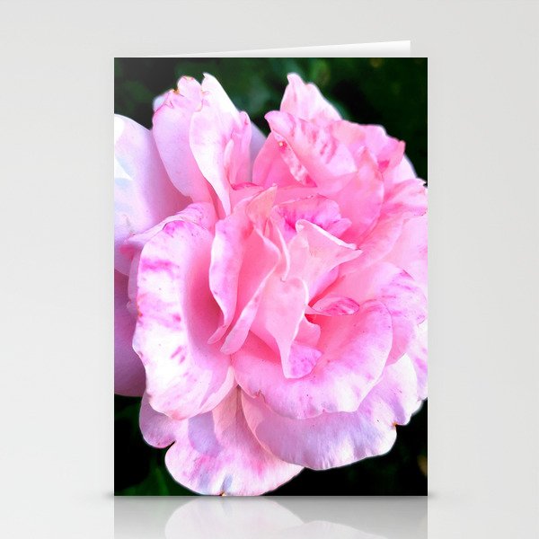 Pretty Pink Rose Stationery Cards