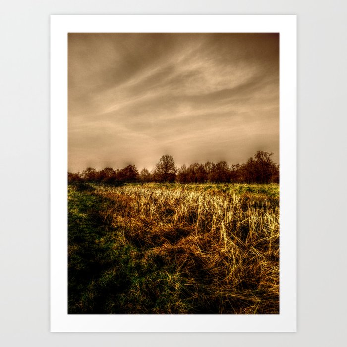 Fields of March ( Sepia Skies ) Art Print