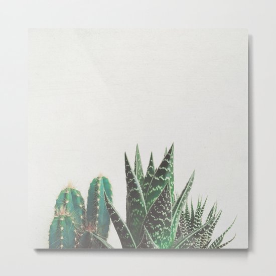 Cactus & Succulents Metal Print