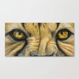 Cheetah Golden Eyes Canvas Print