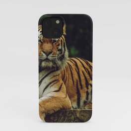 tiger iPhone Case