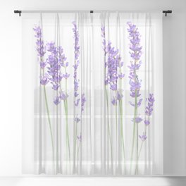 Lavender Sheer Curtain
