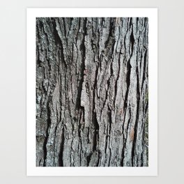 Tree Bark Camouflage Art Print