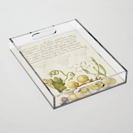 Vintage ornamental calligraphic art with grapes and flowers Acrylic Tray