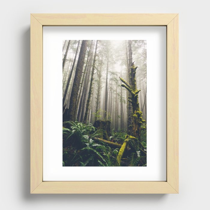 Rainforest Fog Recessed Framed Print