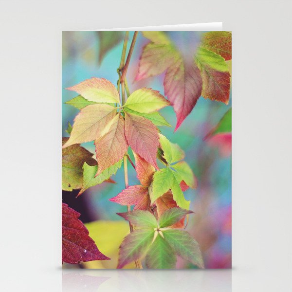 Colorful fall Stationery Cards