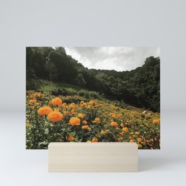 Marigolds in July Mini Art Print