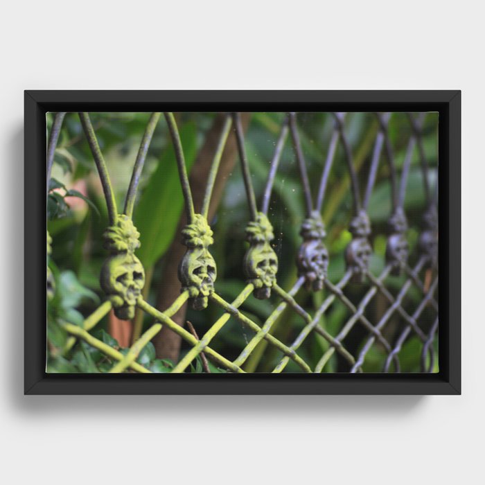 Framed Canvas