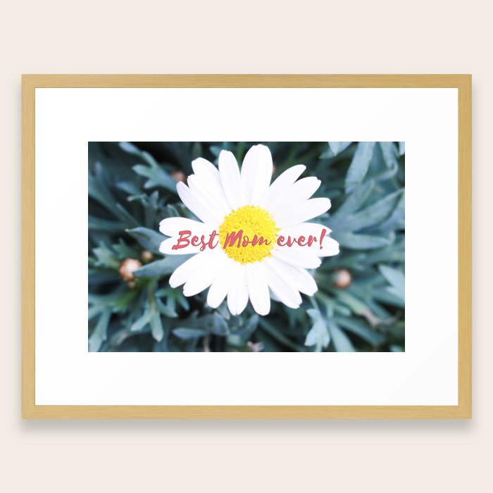 Smile Best Mom Ever Edition White Daisy Flower 1 Framed Art Edition White Daisy Flower 1 Framed Art Print By Anitabellajantz Society6