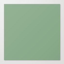 Abstract Green Basil 88aa88 Solid Color Block Spring Summer Canvas Print