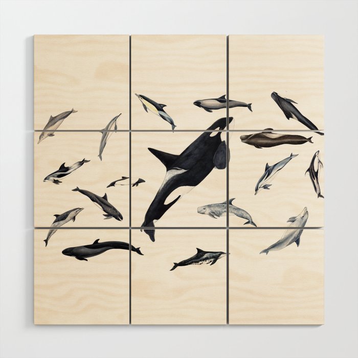 Dolphins all around Wood Wall Art