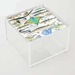 Adolphe Millot "Fishes" 2. Acrylic Box