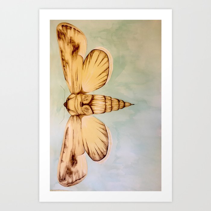 Maguey Moth  Art Print