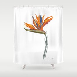 Bird of Paradise 01 Botanical Flower Shower Curtain