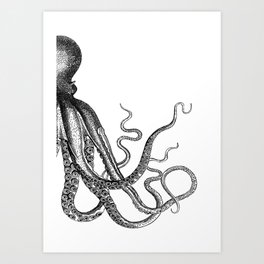 Half Octopus (Right Side) | Vintage Octopus | Diptych | Black and White | Art Print